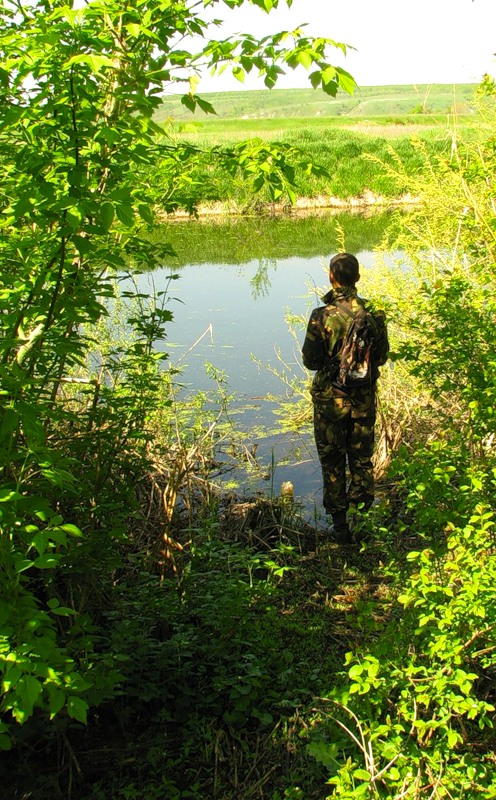 Галерея 12